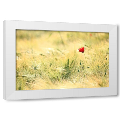 Field 9 White Modern Wood Framed Art Print by Lee, Rachel