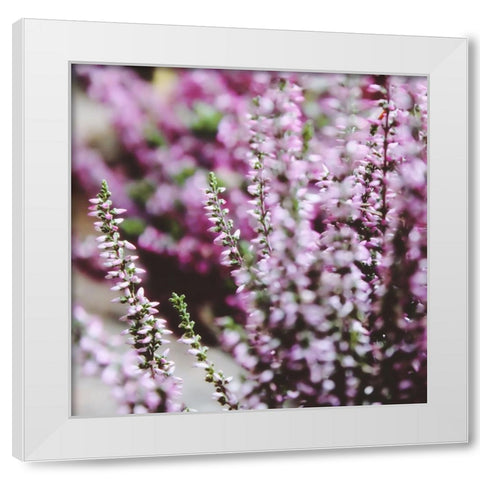 Flower 20 White Modern Wood Framed Art Print by Lee, Rachel