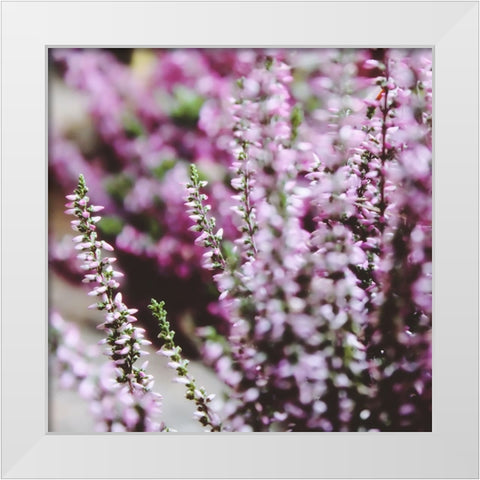 Flower 20 White Modern Wood Framed Art Print by Lee, Rachel