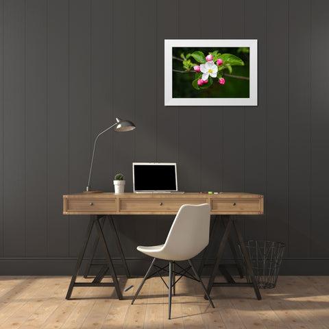 Flower 23 White Modern Wood Framed Art Print by Lee, Rachel