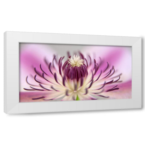 Flower 31 White Modern Wood Framed Art Print by Lee, Rachel