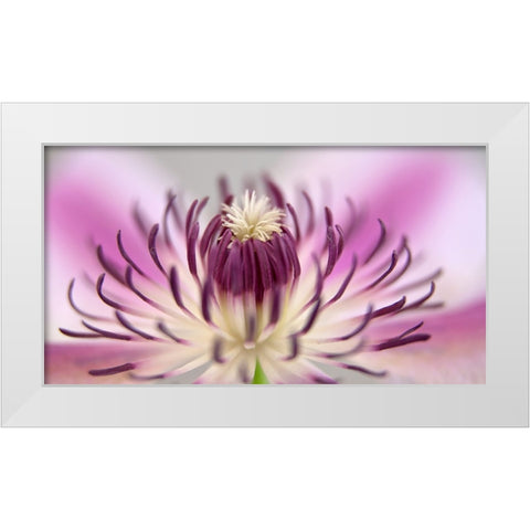 Flower 31 White Modern Wood Framed Art Print by Lee, Rachel