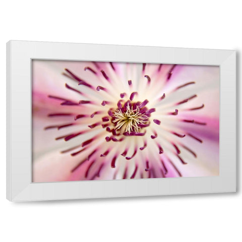 Flower 32 White Modern Wood Framed Art Print by Lee, Rachel