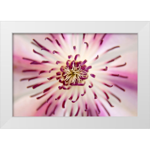 Flower 32 White Modern Wood Framed Art Print by Lee, Rachel