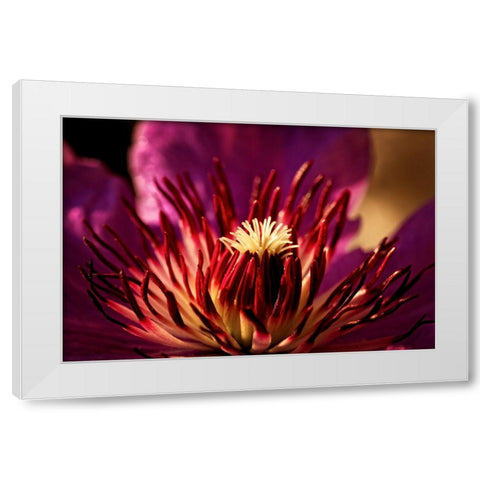 Flower 34 White Modern Wood Framed Art Print by Lee, Rachel