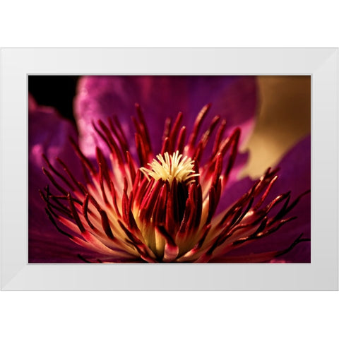 Flower 34 White Modern Wood Framed Art Print by Lee, Rachel
