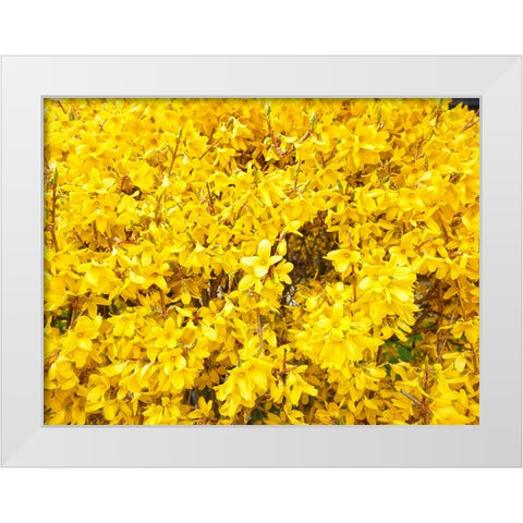 Flower 38 White Modern Wood Framed Art Print by Lee, Rachel