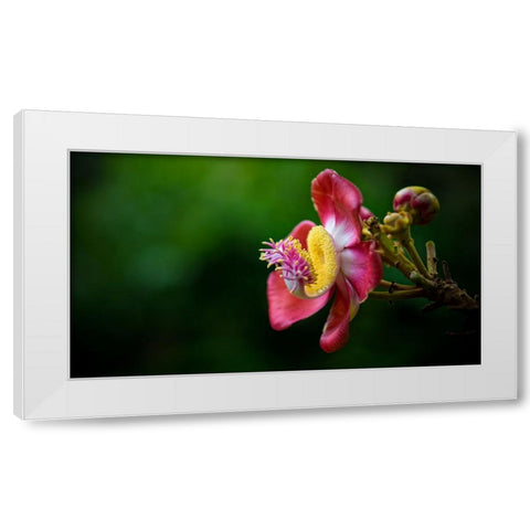 Flower 5 White Modern Wood Framed Art Print by Lee, Rachel