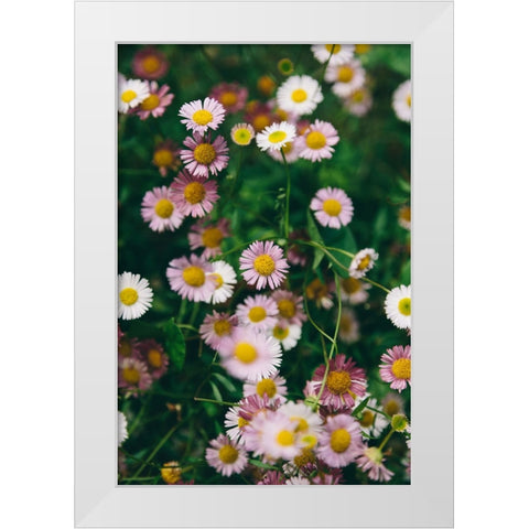 Flower 53 White Modern Wood Framed Art Print by Lee, Rachel