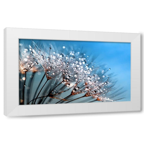 Flower 55 Custom Blue White Modern Wood Framed Art Print by Lee, Rachel