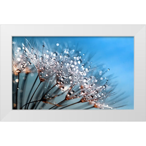 Flower 55 Custom Blue White Modern Wood Framed Art Print by Lee, Rachel