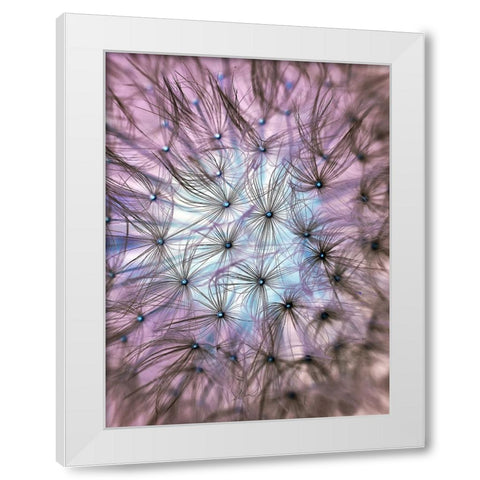Flower 58 White Modern Wood Framed Art Print by Lee, Rachel