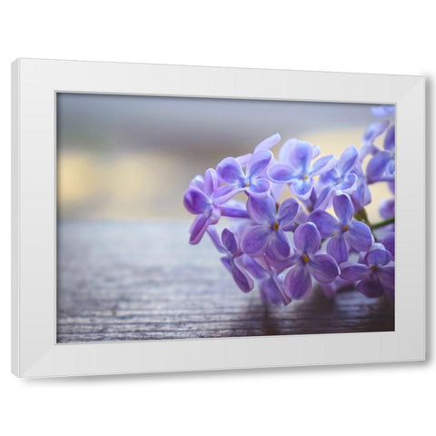 Flower 63 White Modern Wood Framed Art Print by Lee, Rachel