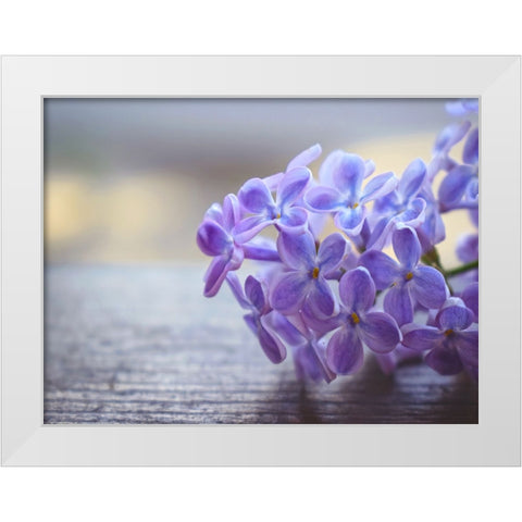 Flower 63 White Modern Wood Framed Art Print by Lee, Rachel