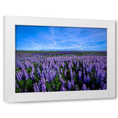 Flower 64 White Modern Wood Framed Art Print by Lee, Rachel