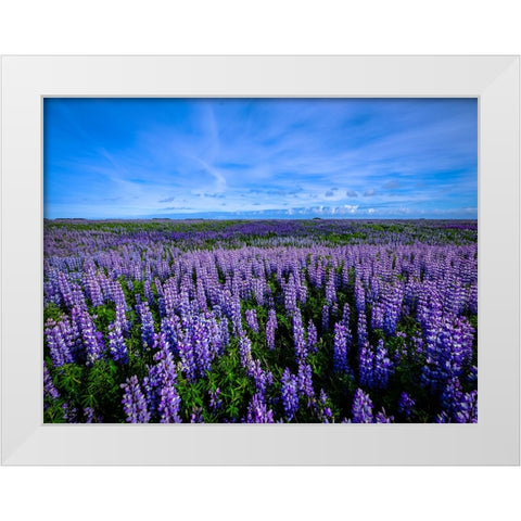 Flower 64 White Modern Wood Framed Art Print by Lee, Rachel