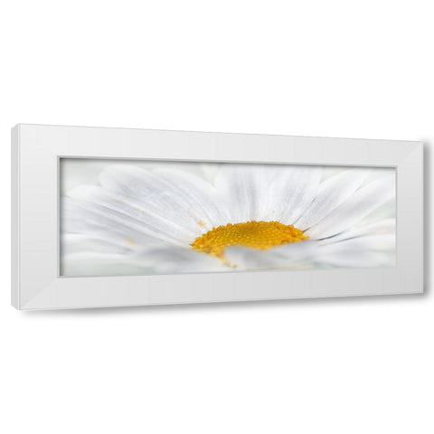 Flower 68 White Modern Wood Framed Art Print by Lee, Rachel
