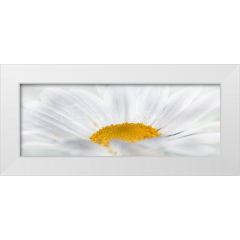 Flower 68 White Modern Wood Framed Art Print by Lee, Rachel