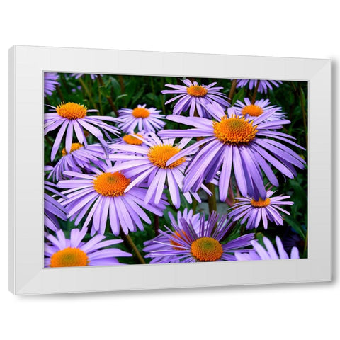 Flower 69 White Modern Wood Framed Art Print by Lee, Rachel
