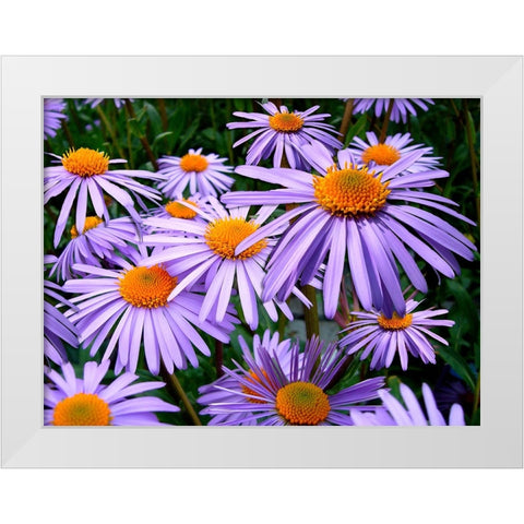 Flower 69 White Modern Wood Framed Art Print by Lee, Rachel