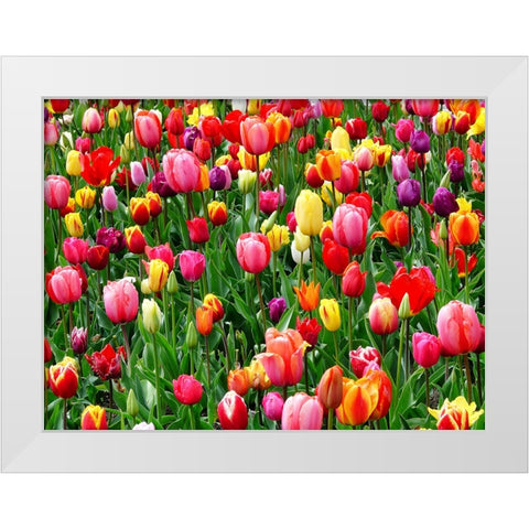 Flower 73 White Modern Wood Framed Art Print by Lee, Rachel