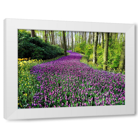 Flower 75 White Modern Wood Framed Art Print by Lee, Rachel