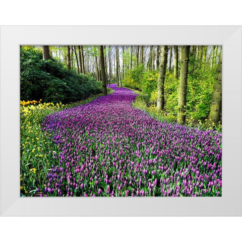 Flower 75 White Modern Wood Framed Art Print by Lee, Rachel