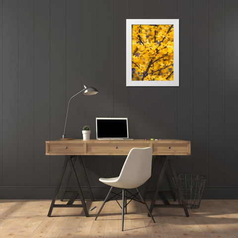 Flower 77 White Modern Wood Framed Art Print by Lee, Rachel