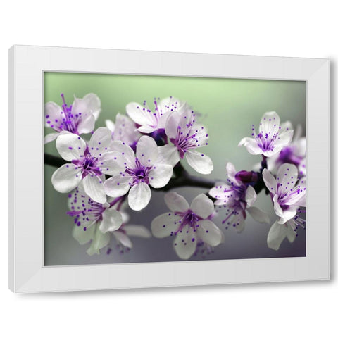 Flower 79 White Modern Wood Framed Art Print by Lee, Rachel