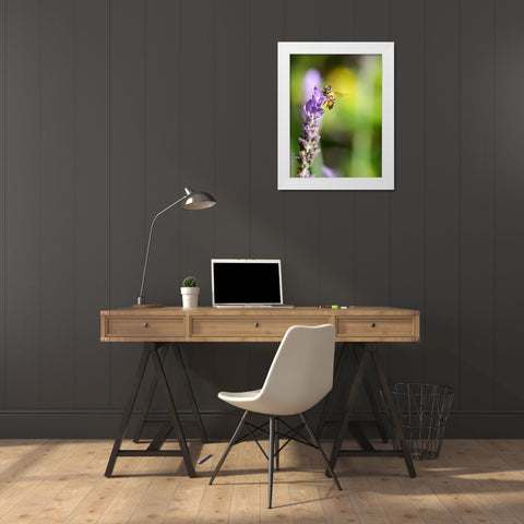 Flower Bee 2 White Modern Wood Framed Art Print by Lee, Rachel