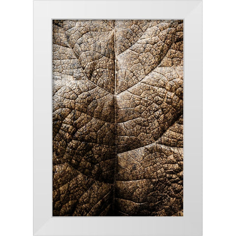 Foliage Textured 1 White Modern Wood Framed Art Print by Lee, Rachel