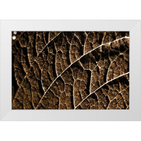 Foliage Textured 3 White Modern Wood Framed Art Print by Lee, Rachel