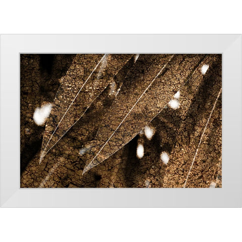 Foliage Textured 4 White Modern Wood Framed Art Print by Lee, Rachel