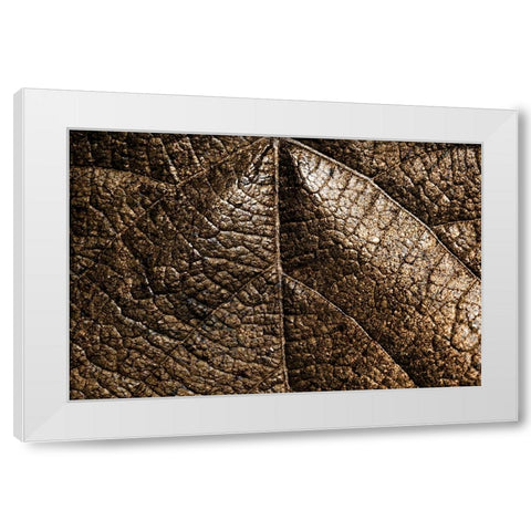Foliage Textured 5 White Modern Wood Framed Art Print by Lee, Rachel
