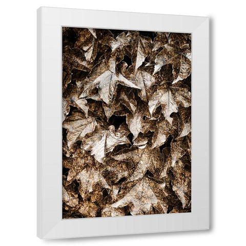 Foliage Textured 6 White Modern Wood Framed Art Print by Lee, Rachel