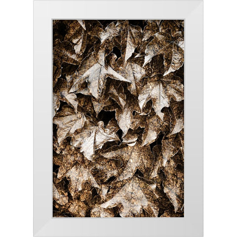 Foliage Textured 6 White Modern Wood Framed Art Print by Lee, Rachel