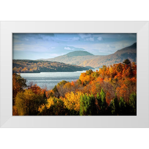 Forest Lake White Modern Wood Framed Art Print by Lee, Rachel