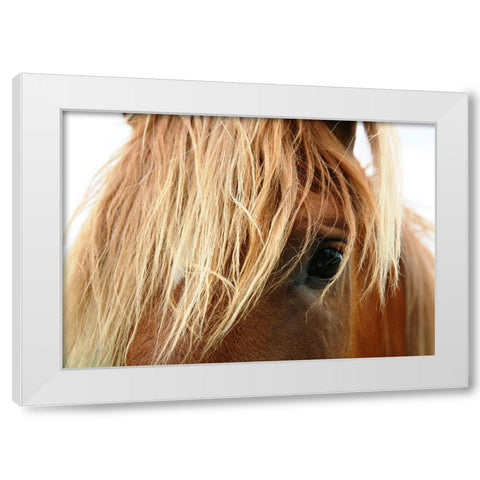 Horse 5 White Modern Wood Framed Art Print by Lee, Rachel