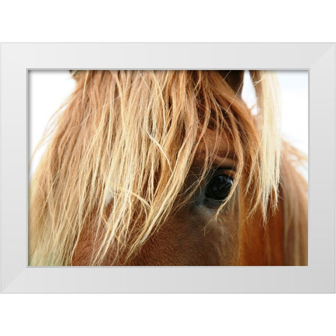 Horse 5 White Modern Wood Framed Art Print by Lee, Rachel