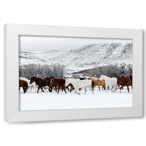 Horse 10 White Modern Wood Framed Art Print by Lee, Rachel