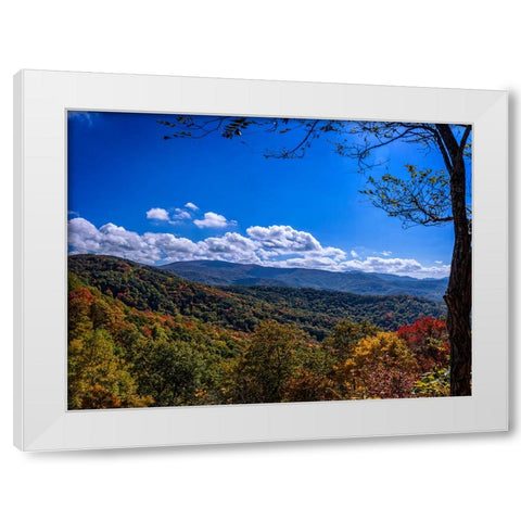 NC Fall Mountains 1 White Modern Wood Framed Art Print by Lee, Rachel