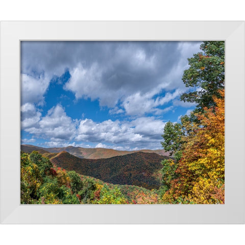NC Fall Mountains 7 White Modern Wood Framed Art Print by Lee, Rachel
