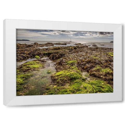 Ocean 54 White Modern Wood Framed Art Print by Lee, Rachel