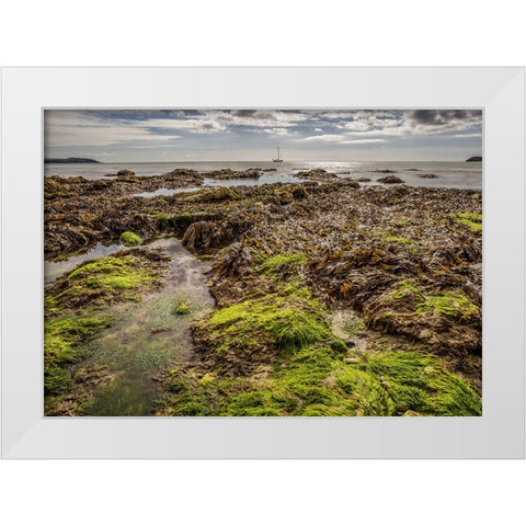Ocean 54 White Modern Wood Framed Art Print by Lee, Rachel