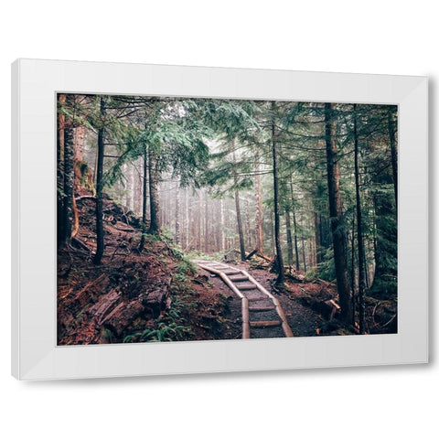 Pathway 5 White Modern Wood Framed Art Print by Lee, Rachel