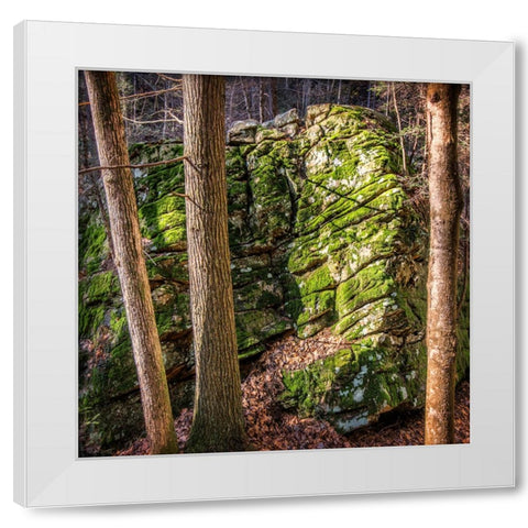 Rocks 4 White Modern Wood Framed Art Print by Lee, Rachel
