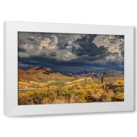 Southwest 7 White Modern Wood Framed Art Print by Lee, Rachel