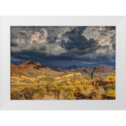 Southwest 7 White Modern Wood Framed Art Print by Lee, Rachel