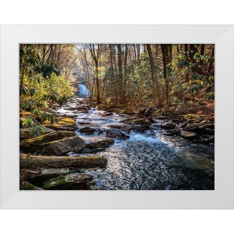 Stinging Fork Creek 1 White Modern Wood Framed Art Print by Lee, Rachel