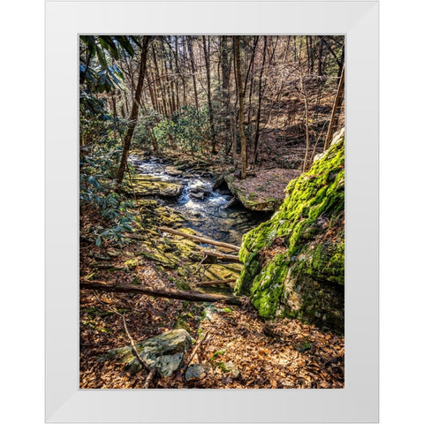 Stinging Fork Creek 6 White Modern Wood Framed Art Print by Lee, Rachel